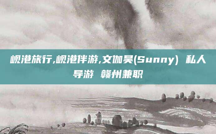 京山岘港旅行,岘港伴游,文伽昊(Sunny) 私人导游 赣州兼职
