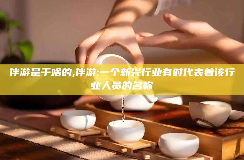 京山伴游是干啥的,伴游:一个新兴行业有时代表着该行业人员的名称